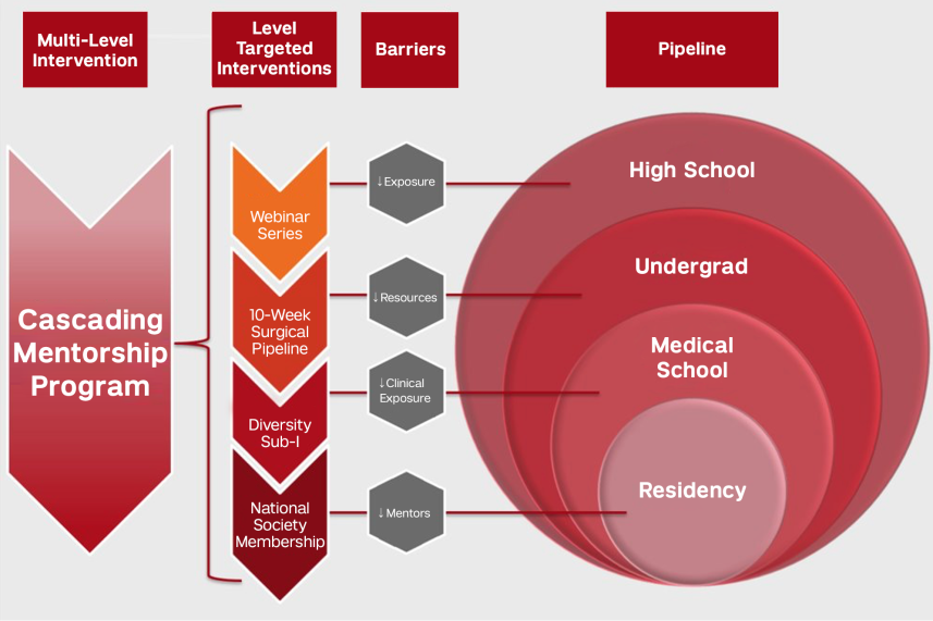 multi level mentorship program